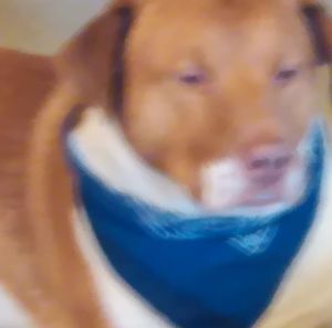 Meet your Posher, Jeff